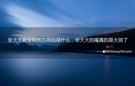 张大大被全网黑的原因是什么,张大大的嘴真的是太损了