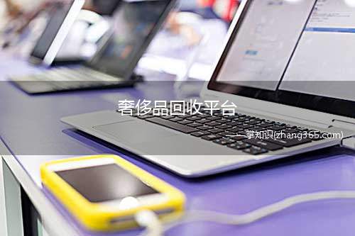 奢侈品回收平台(什么平台可以回收奢侈品)