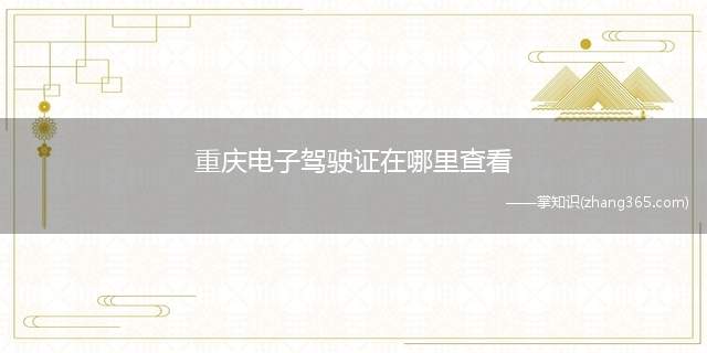 重庆电子驾驶证在哪里查看
