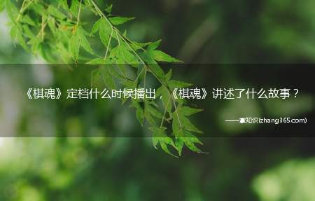 《棋魂》定档什么时候播出,《棋魂》讲述了什么故事?