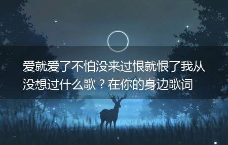 爱就爱了不怕没来过恨就恨了我从没想过什么歌?在你的身边歌词