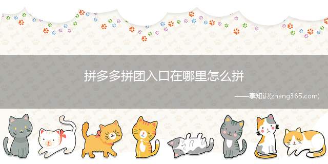 拼多多拼团入口在哪里怎么拼(拼多多的百亿补贴大家有买过东西吗)