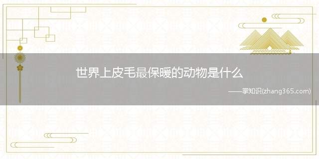 世界上皮毛最保暖的动物是什么(世界上皮毛最保暖的动物)