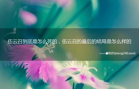 伍云召到底是怎么死的,伍云召的最后的结局是怎么样的