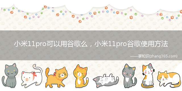 小米11pro可以用谷歌么,小米11pro谷歌使用方法