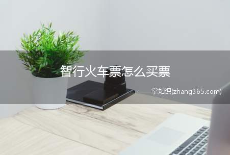 智行火车票怎么买票(智行火车票12306购票怎么样)