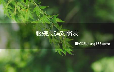 服装尺码对照表(服装尺码的知识你知道吗)