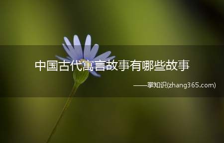 中国古代寓言故事有哪些故事(中国古代寓言故事有哪些)