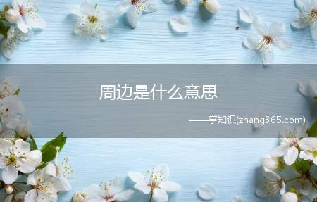 周边是什么意思(游戏周边的意思是什么)