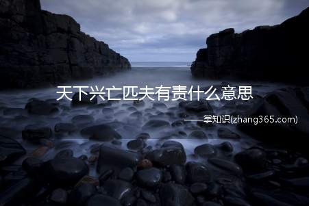 天下兴亡匹夫有责什么意思(天下兴亡匹夫有责谁说的)