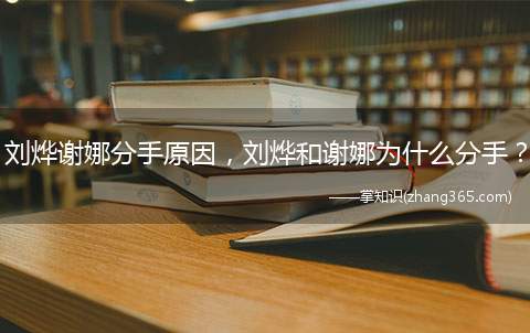 刘烨谢娜分手原因,刘烨和谢娜为什么分手?