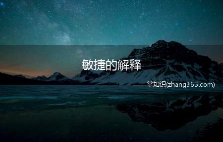 敏捷的解释(敏捷的意思)