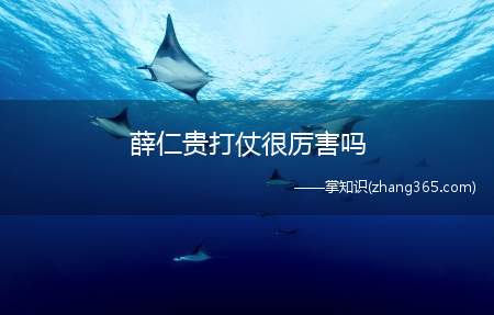 薛仁贵打仗很厉害吗(薛仁贵的军事实力如何)