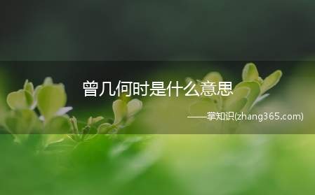 曾几何时是什么意思(曾是什么意思)