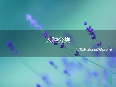 人种分类(体质特征有哪些)