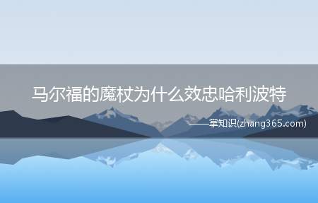马尔福的魔杖为什么效忠哈利波特(哈利波特与死亡圣器有什么区别)