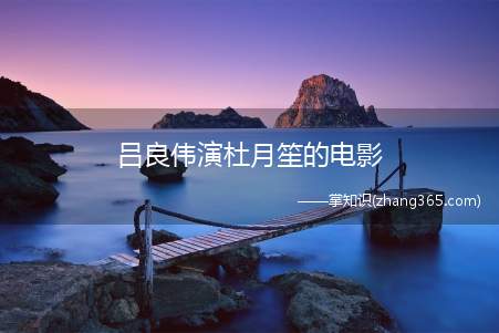 吕良伟演杜月笙的电影(吕良伟演杜月笙是什么电影)