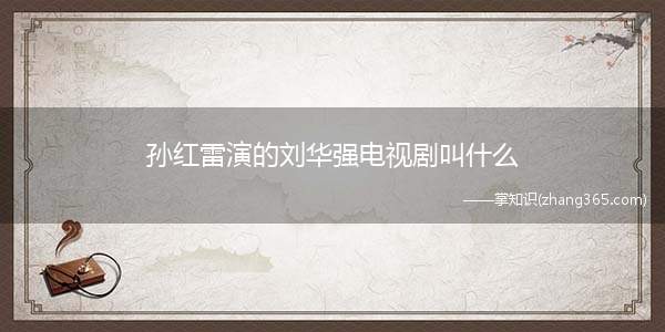 孙红雷演的刘华强电视剧叫什么
