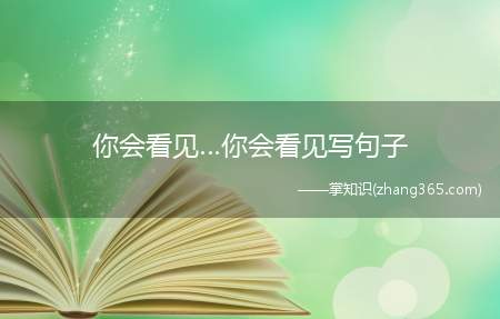 你会看见…你会看见写句子(我看见一辆汽车撞在了墙上狼吞虎咽地吃一块面包)