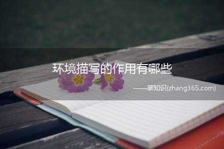 环境描写的作用有哪些(环境描写的作用)
