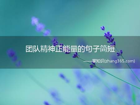 团队精神正能量的句子简短(团队精神正能量的句子)