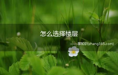 怎么选择楼层(高层楼房住几层最好)
