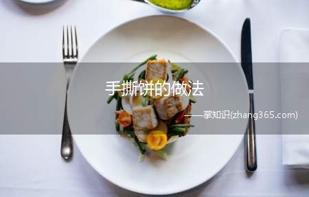 手撕饼的做法(高筋面粉怎么做好吃)