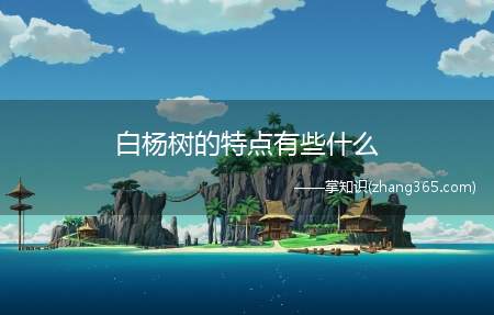 白杨树的特点有些什么(白杨树的外形特点是什么)