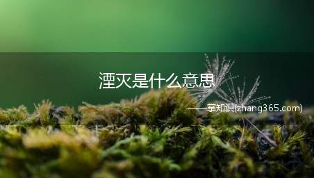 湮灭是什么意思(湮灭电影结局什么意思 最后活下来的到底是不是本人经过)