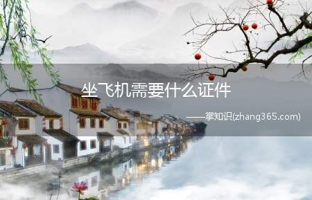 坐飞机需要什么证件(旅客的居民身份证所在地以外被盗或丢失的)
