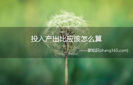 投入产出比应该怎么算(投入产出比怎么算)