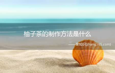 柚子茶的制作方法是什么(柚子茶制作方法是怎么样的)