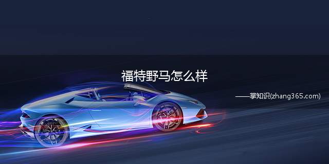 福特野马怎么样(福特野马低调,符合空空气动力学和人体工程学)