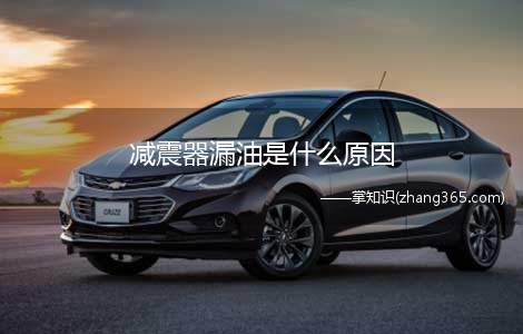 减震器漏油是什么原因(汽车减震器漏油怎么办)