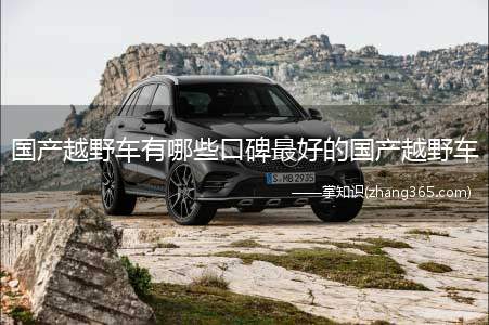 国产越野车有哪些口碑最好的国产越野车(口碑最好的十大国产越野车)