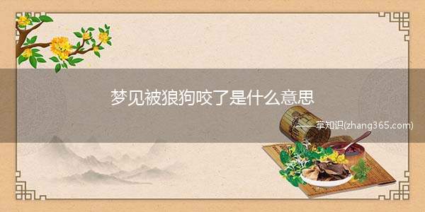 梦见被狼狗咬了是什么意思(科普:人为什么会做梦梦境的产生其实是和生命活动有着一定的关)