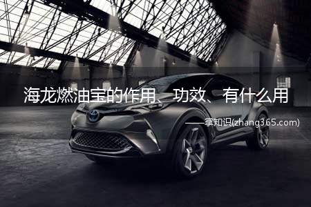 海龙燃油宝的作用、功效、有什么用(海龙燃油宝主要用于清洗汽车燃油进气系统中产生的沉积物)