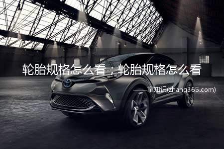 轮胎规格怎么看;轮胎规格怎么看(轮胎规格怎么看 汽车轮胎参数)