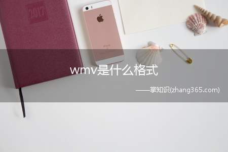 wmv是什么格式(Windows Media Video)