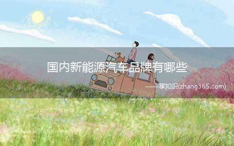 国内新能源汽车品牌有哪些(国内新能源汽车品牌介绍)