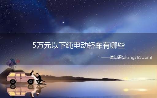 5万元以下纯电动轿车有哪些(雷丁D50全能新E代,开启典范生活)