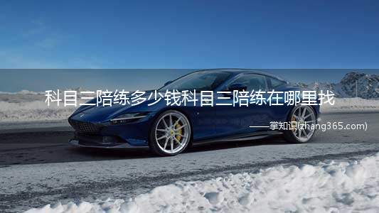 科目三陪练多少钱科目三陪练在哪里找(科目三哪里找陪练可以去58同城,驾校,驾考集锦等)