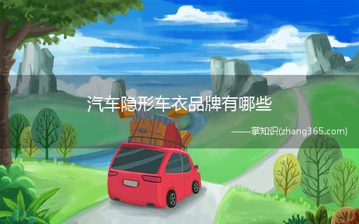 汽车隐形车衣品牌有哪些(高端漆面保护膜品牌有哪些)