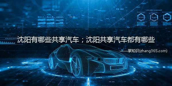 沈阳有哪些共享汽车；沈阳共享汽车都有哪些