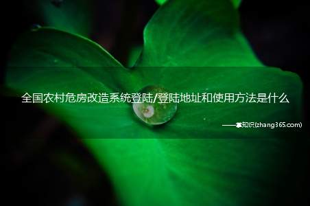 全国农村危房改造系统登陆/登陆地址和使用方法是什么