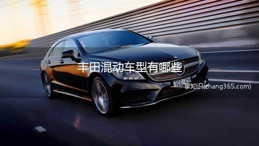 丰田混动车型有哪些(丰田最拿手的是油电混动车型,俗称“弱混”)