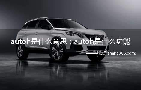 autoh是什么意思；autoh是什么功能(autoh是什么意思)