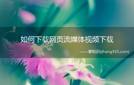 如何下载网页流媒体视频下载(wikiHow文章教你如何下载流媒体视频)