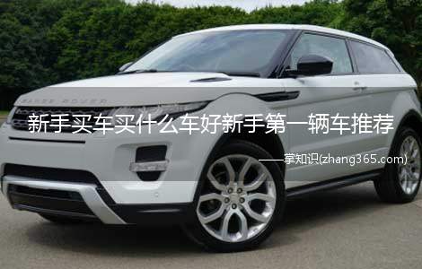新手买车买什么车好新手第一辆车推荐(新手买什么样的车好)