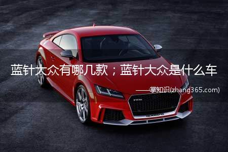 蓝针大众有哪几款；蓝针大众是什么车(蓝针大众有哪几款 高尔夫r的2)
